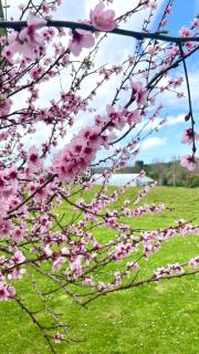 Casa rústica en el campo - 2