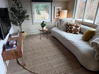 Beautiful house on an island near Amsterdam - 1