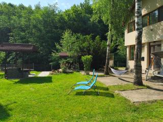 Casa doi mesteceni - 9