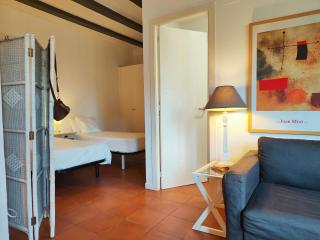 Penthouse in the heart of Barcelona. Rambla E - 3