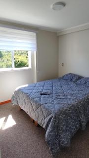 Departamento Full Amoblado Condominio Pelluco - 2