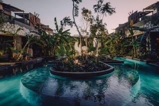 Private Jungle 1BR Retreat & Fast Wi-Fi - 0