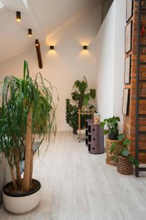 Premium Design Loft - Old Town - 7