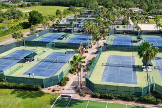 Magnolias on Cobblestone - 2