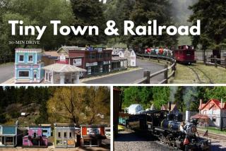 The Evergreen Castle - Evergreen - 1