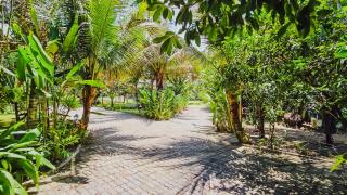 Chalés completos com piscina Meio do Mato 5km Arraial 20km trancoso - 6