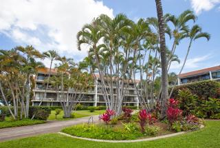 Maui Parkshore 401 - 5