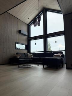 Arctic Luxury Cabin Northern Lights View - 3