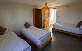 Single fin taghazout surf & stay - 2