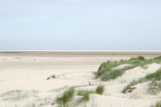 Hotel Villa Weststrand - Borkum - 7