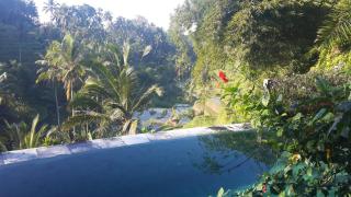 Villa Wedang - Tegalalang - 9