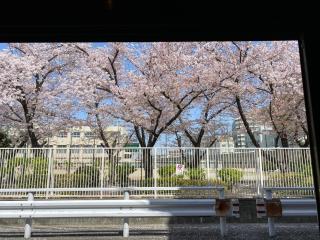 MON Kishinosato Sakura Resort -vacation rental- - 1