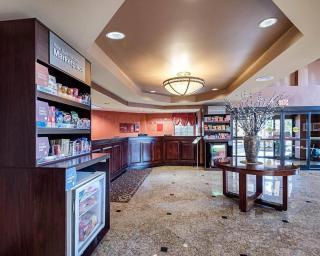 Comfort Suites Dulles Airport - 7