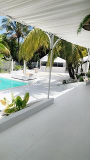 Cocoon Signature Palm Tree Garden - 9