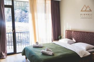 Bakuriani - Didveli Gallery B212 - 9