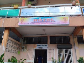 Auberge de l'hippocampe - 3