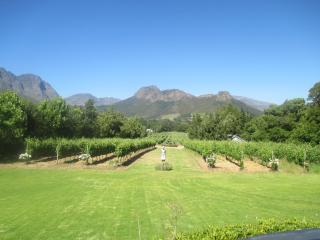 Franschhoek Rose Cottages - Franschhoek - 5