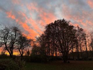 Secluded Cottage In Idyllic Surroundings - 3