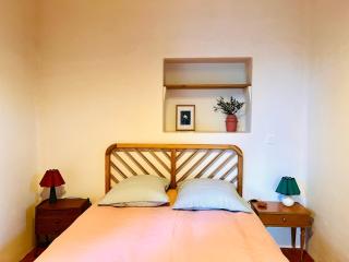 Mas Saint Michel - Vivès - 1