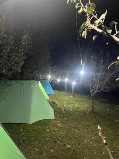 Manali Adventures Stay & Cafe - 1