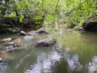 Queens SHARA Resort - 4