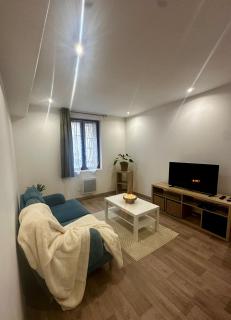 Chaleureux proxi-CHU et clinique St Hilaire - 1