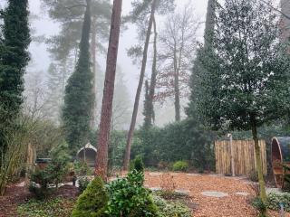 Lodge met eigen wellness onder de bomen - 3