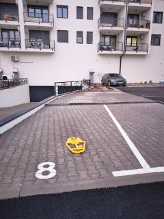 Butterfly Cozy Apartment - 8