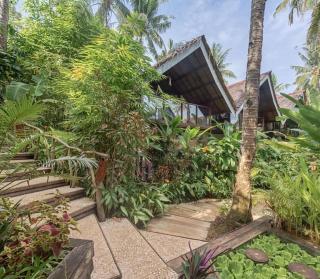 JungleNest Resort - 9