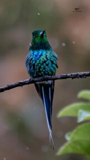 Hotel Rivel - Restaurant & Nature Retreat - 5