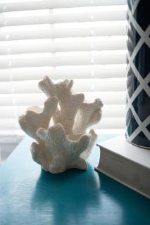 Beach Bungalow Vacation - Entire Home - 7