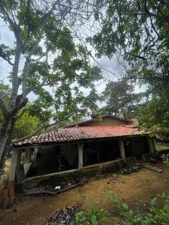 Sítio Tranquilo na Serra de Mulungu - 0