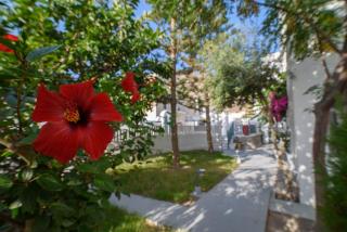 Iris Boutique Hotel - Kamari - 3