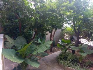 Apartment with Garden - Amarinthos - 9