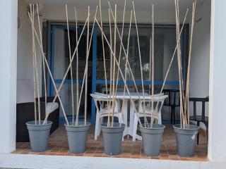 Charmant T2 en rez de chaussée - 5