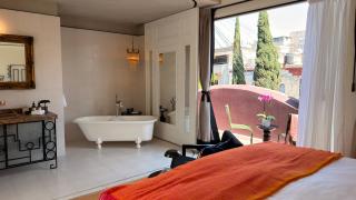 Maximo Mexico Hotel - 1