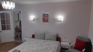 Апартаменты Нежная орхидея возле реки - 0