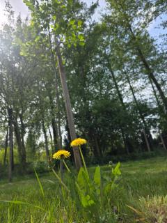 W Olchach - lokal Klon - 4