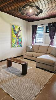 The Blue Donkey - Paramaribo - 5