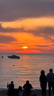 White Lotus 10 of 10 - 9