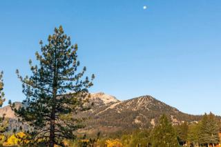 The Mammoth Meadow Hideaway - 3