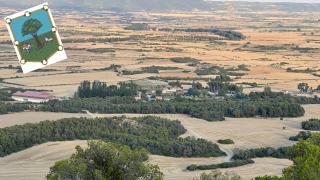 EL PINAR DE BARDENA - Carcastillo - 8