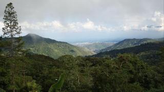 Casa Nido - En la cima del Queremal - 1