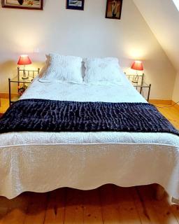 Ti Ar Skol, chambre d'hôtes - 6