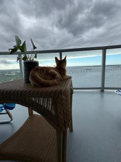 Relax in luxury - 4