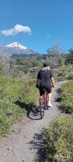 Pucón Magic forest - Pucón - 7