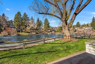 Cozy Studio Cottage on the River - 7