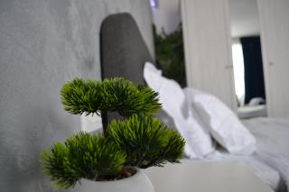 Studio în Centru TV 165 cm Netflix 4K Confort Premium - 7