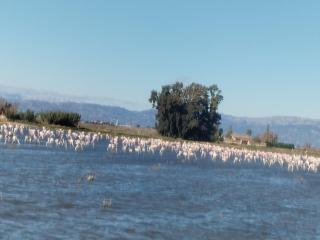 Chalet Garcia - 9