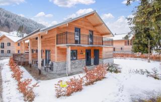 Doppelchalet Afritz Am See - 1